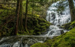 Desktop wallpaper. Waterfalls. ID:83888
