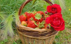 Desktop wallpaper. Fruits. ID:46055