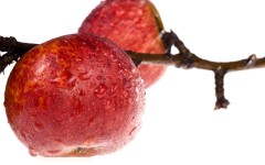 Desktop wallpaper. Fruits. ID:46056
