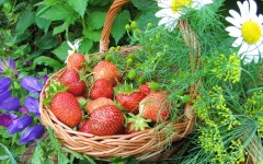 Desktop image. Fruits. ID:46062