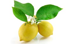 Desktop wallpaper. Fruits. ID:46127