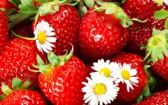 Desktop wallpaper. Fruits. ID:46133