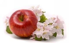 Desktop wallpaper. Fruits. ID:46137