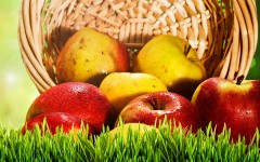 Desktop wallpaper. Fruits. ID:46138