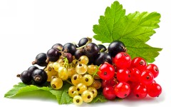 Desktop wallpaper. Fruits. ID:46142