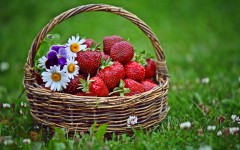 Desktop wallpaper. Fruits. ID:46168