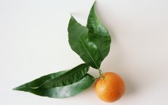 Desktop image. Fruits. ID:46194