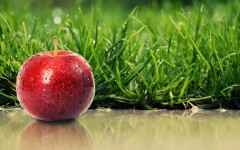 Desktop wallpaper. Fruits. ID:46202