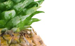 Desktop wallpaper. Fruits. ID:46209
