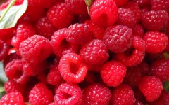 Desktop wallpaper. Fruits. ID:46242
