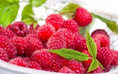 Desktop wallpaper. Fruits. ID:46258
