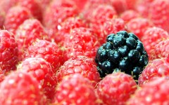 Desktop wallpaper. Fruits. ID:46270