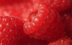 Desktop wallpaper. Fruits. ID:46272