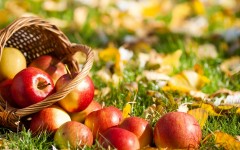 Desktop wallpaper. Fruits. ID:46279