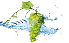 Desktop wallpaper. Fruits. ID:46287