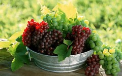 Desktop wallpaper. Fruits. ID:56242