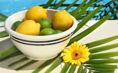Desktop wallpaper. Fruits. ID:56784