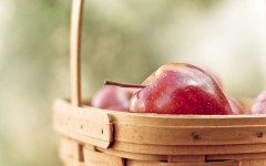 Desktop wallpaper. Fruits. ID:68277