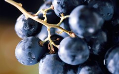 Desktop wallpaper. Fruits. ID:68283