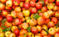 Desktop wallpaper. Fruits. ID:68284