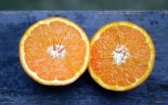 Desktop wallpaper. Fruits. ID:68286