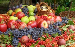 Desktop wallpaper. Fruits. ID:68289