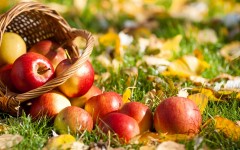 Desktop wallpaper. Fruits. ID:68303