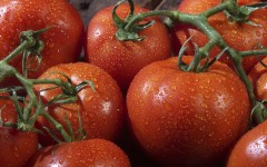 Desktop wallpaper. Vegetables. ID:46359