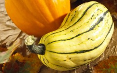 Desktop wallpaper. Vegetables. ID:46402