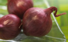 Desktop wallpaper. Vegetables. ID:46409