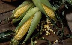 Desktop wallpaper. Vegetables. ID:46418