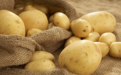 Desktop wallpaper. Vegetables. ID:46421