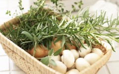 Desktop wallpaper. Vegetables. ID:46445