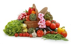 Desktop wallpaper. Vegetables. ID:46451