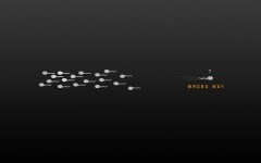 Desktop wallpaper. Creative. ID:46996