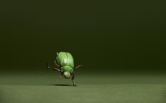 Desktop wallpaper. Creative. ID:47039