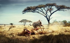 Desktop wallpaper. Creative. ID:66454