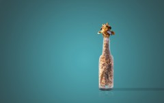 Desktop image. Creative. ID:79488