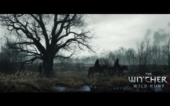 Desktop wallpaper. Witcher 3: Wild Hunt, The. ID:47122