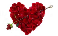 Desktop image. Love. ID:47522
