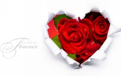 Desktop wallpaper. Love. ID:47598