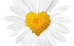 Desktop wallpaper. Love. ID:47620