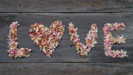 Desktop wallpaper. Love. ID:164222