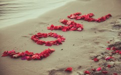 Desktop wallpaper. Love. ID:66460