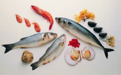 Desktop wallpaper. Food. ID:47896