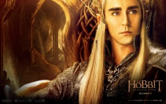 Desktop wallpaper. Hobbit: The Desolation of Smaug, The. ID:48147
