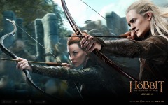 Desktop wallpaper. Hobbit: The Desolation of Smaug, The. ID:48148