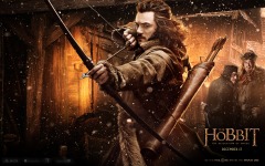 Desktop wallpaper. Hobbit: The Desolation of Smaug, The. ID:48149