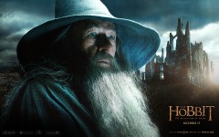 Desktop wallpaper. Hobbit: The Desolation of Smaug, The. ID:48150