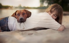 Desktop wallpaper. Dogs. ID:62727